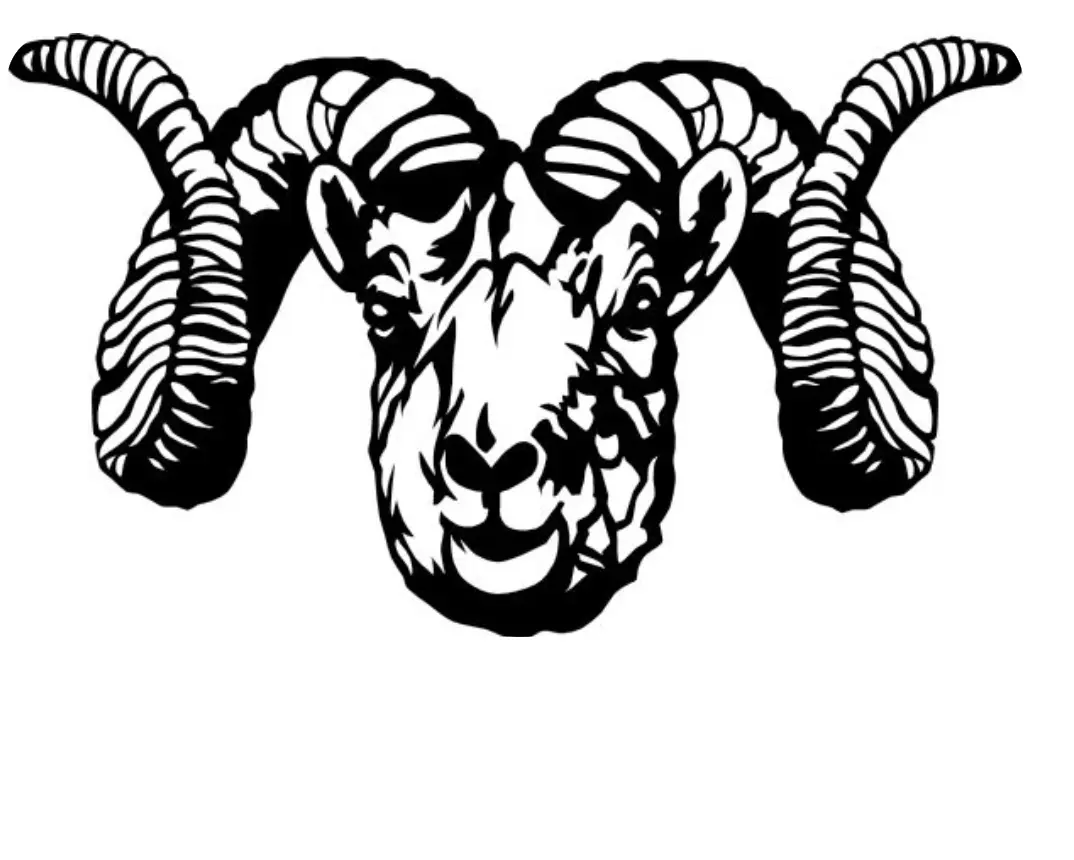 Bubsy-20240602162811603 1.webp