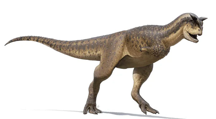 carnotaurus.png